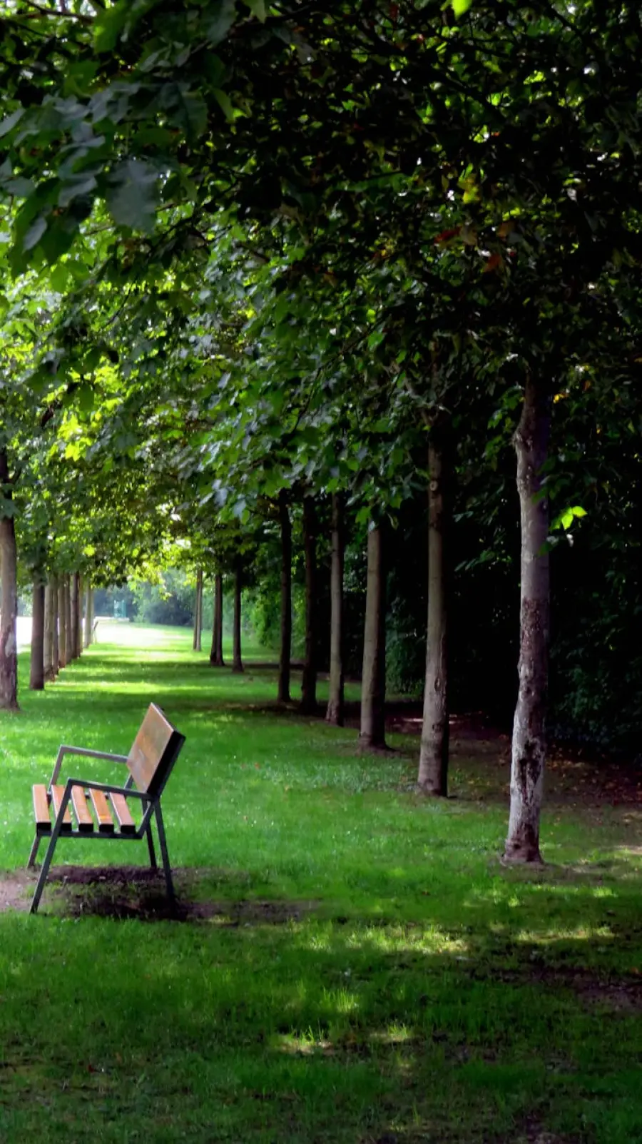 Alessandria, manutenzione del verde fino al 30 aprile