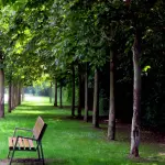 Alessandria, manutenzione del verde fino al 30 aprile