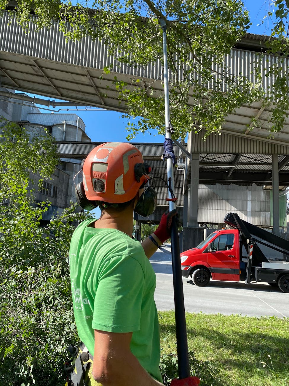 Alessandria, nuovi interventi di manutenzione del verde fino al 22 maggio