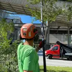 Alessandria, nuovi interventi di manutenzione del verde fino al 22 maggio