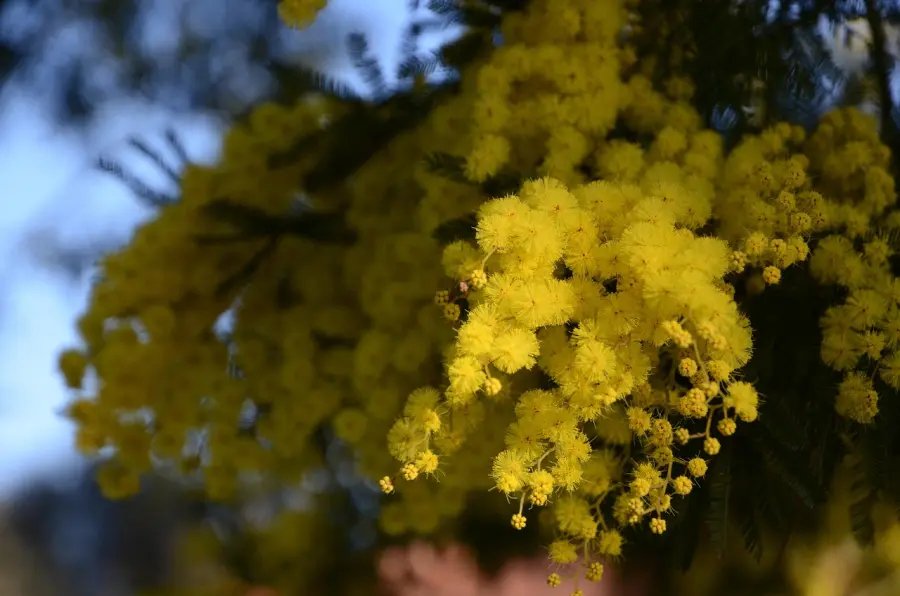 Piemonte: ai sindaci l’invito a dedicare spazi pubblici a donne che hanno fatto la storia