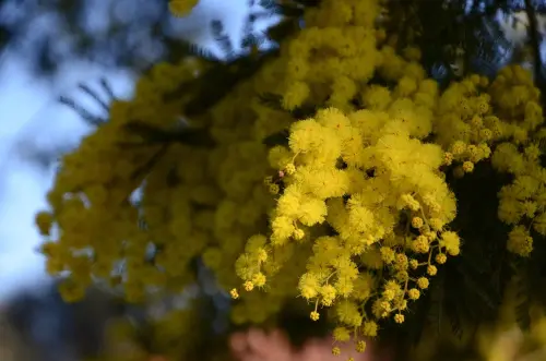 Piemonte: ai sindaci l’invito a dedicare spazi pubblici a donne che hanno fatto la storia