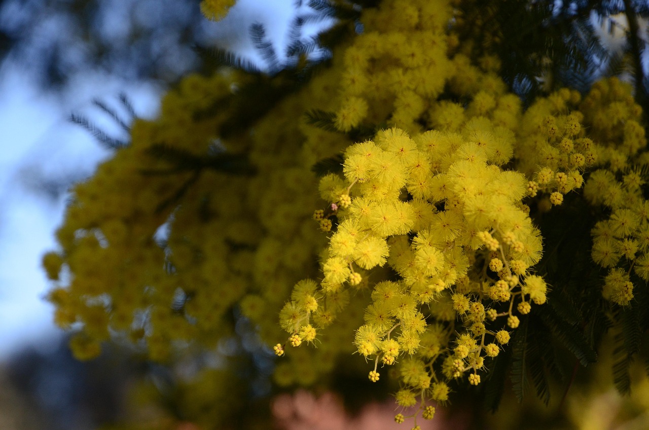 Piemonte: ai sindaci l’invito a dedicare spazi pubblici a donne che hanno fatto la storia