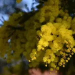 Piemonte: ai sindaci l’invito a dedicare spazi pubblici a donne che hanno fatto la storia