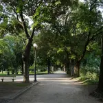 Alessandria, sfalci e manutenzione del verde in nuove vie