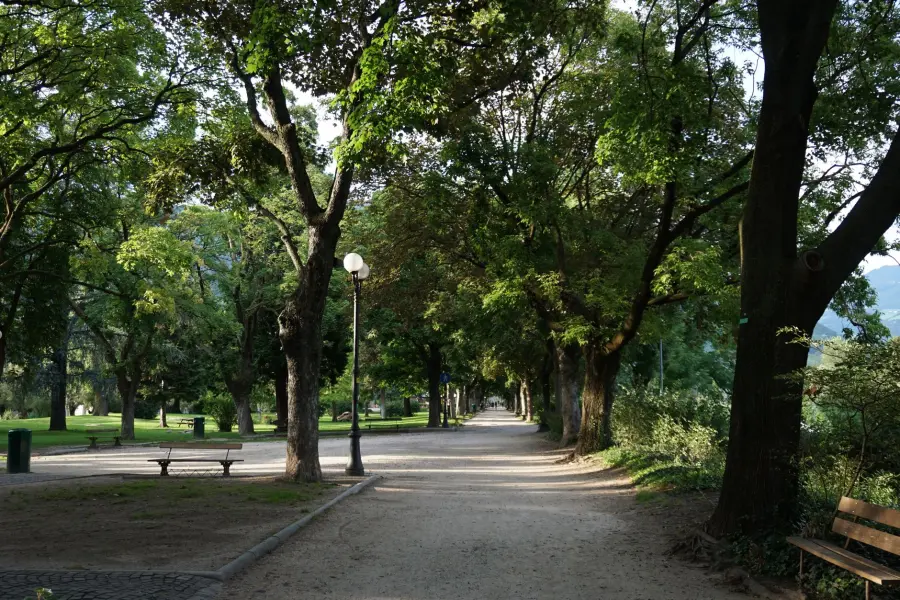 Verde pubblico ad Alessandria, nuovo calendario di sfalci nelle vie cittadine