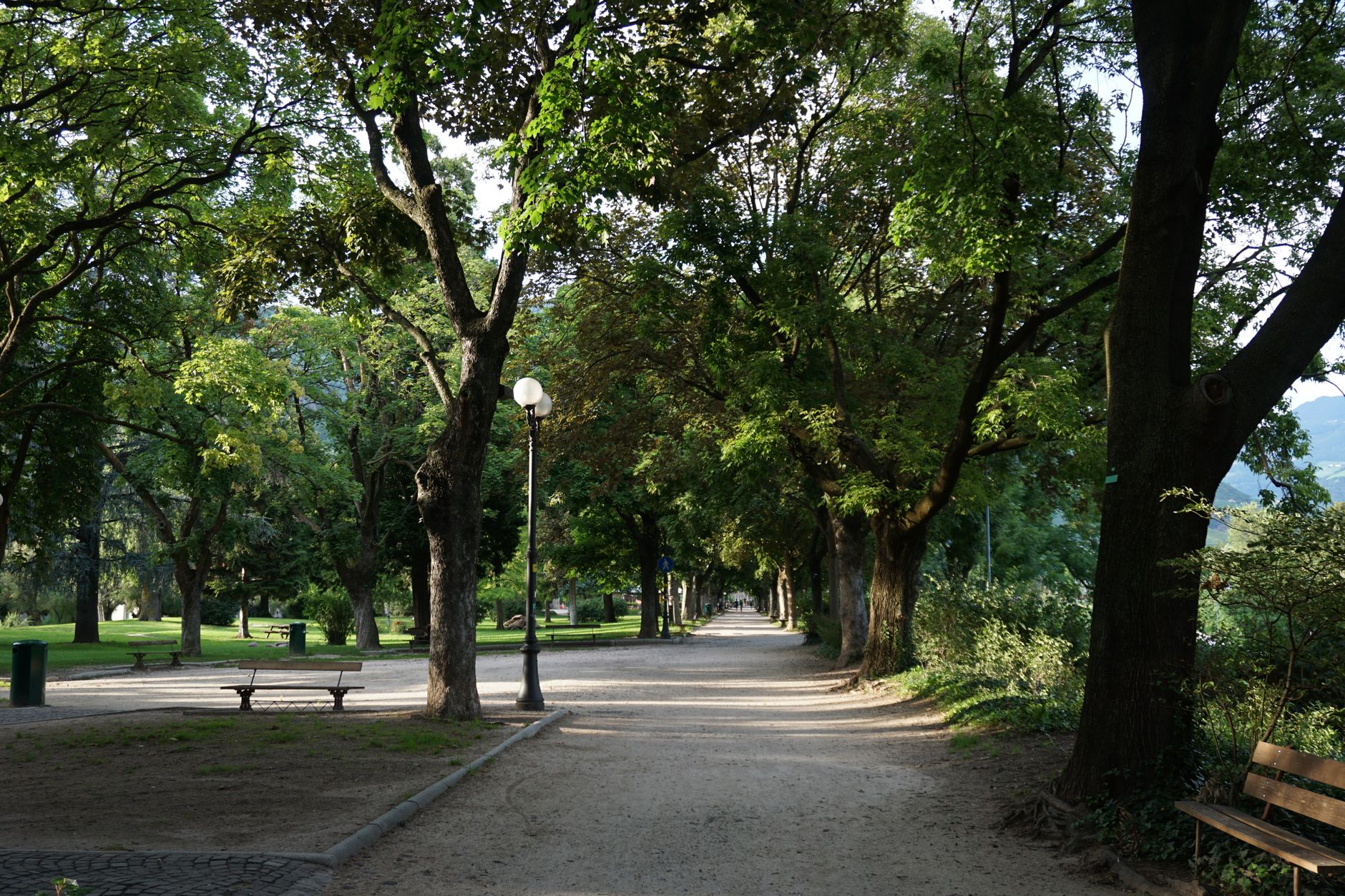 Verde pubblico ad Alessandria, nuovo calendario di sfalci nelle vie cittadine