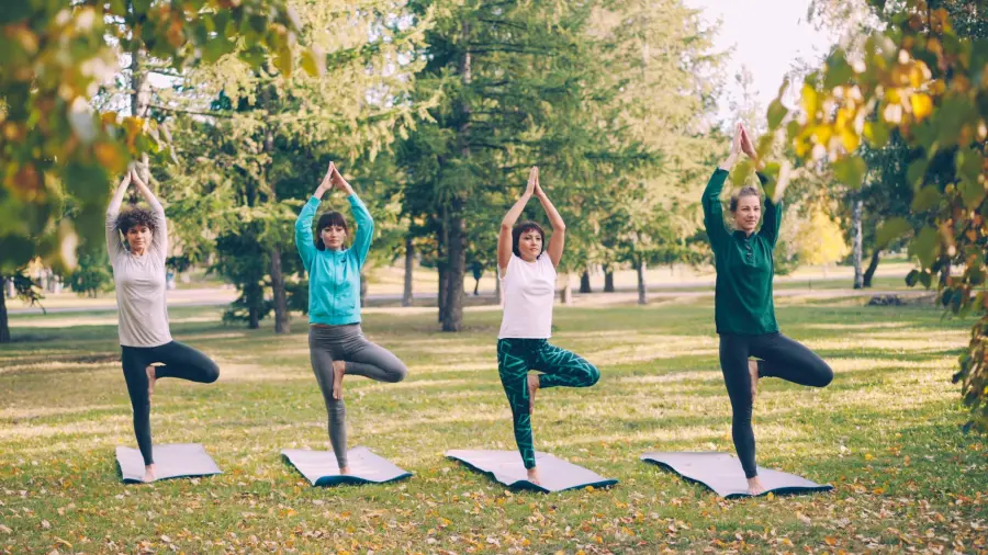 Alessandria, yoga e solstizio d’estate al Giardino Botanico
