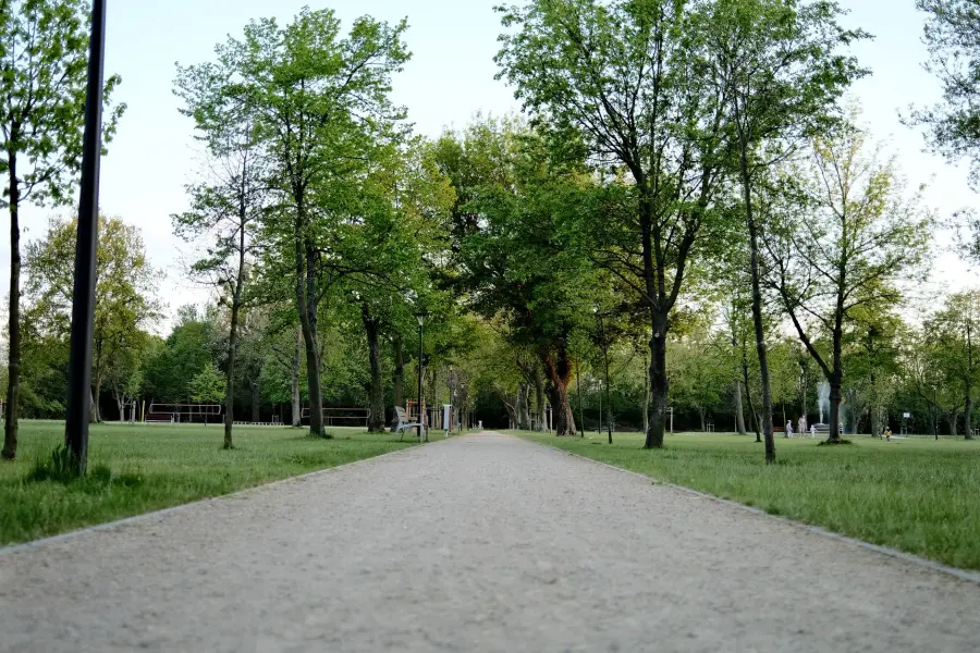 Alessandria, nuovi sfalci nelle aree verdi comunali