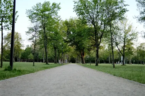 Alessandria, nuovi sfalci nelle aree verdi comunali
