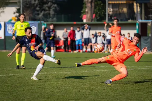 Alessandria Calcio: storia dei Grigi d'Italia