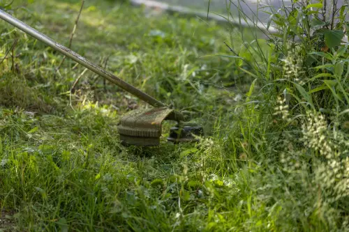 Alessandria, cimiteri chiusi a turno per gli interventi di diserbo
