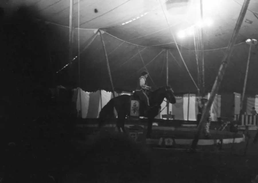 “Nardo il ghepardo alle Zoolimpiadi”: ad Alessandria il teatro per famiglie chiude la stagione