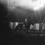 “Nardo il ghepardo alle Zoolimpiadi”: ad Alessandria il teatro per famiglie chiude la stagione