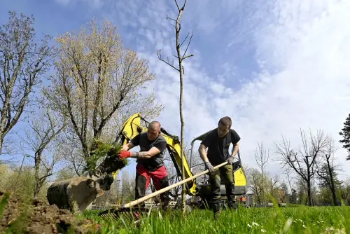 Alessandria, manutenzione del verde: interventi fino al 10 aprile