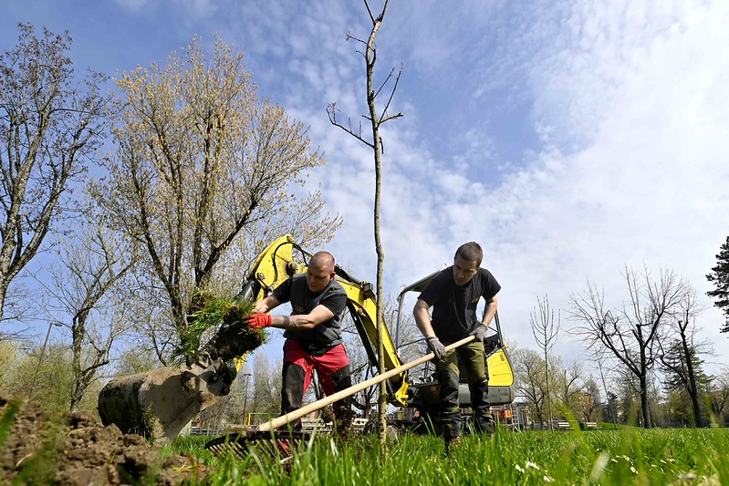 Alessandria, manutenzione del verde: interventi fino al 10 aprile
